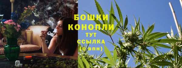 spice Дмитровск