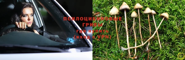 Альфа ПВП Дмитриев