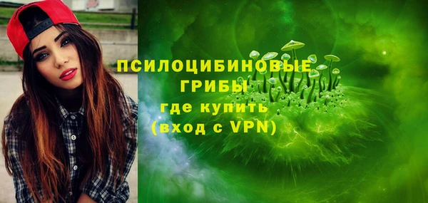 Альфа ПВП Дмитриев